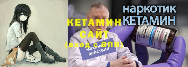 прущие грибы Лабытнанги