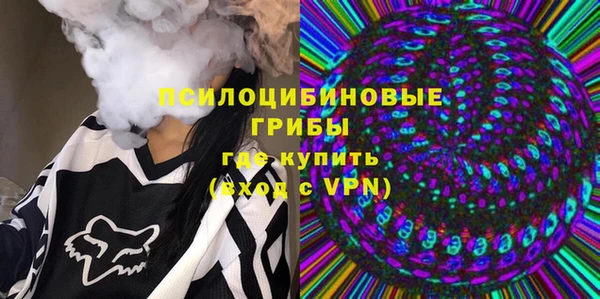 прущие грибы Лабытнанги