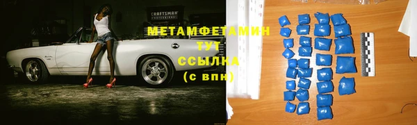 прущие грибы Лабытнанги