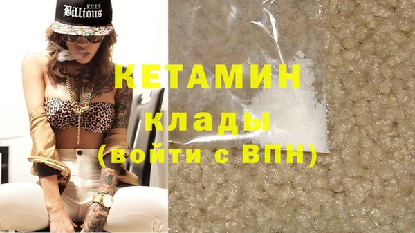 прущие грибы Лабытнанги