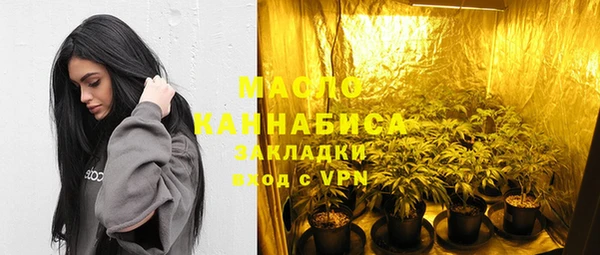 прущие грибы Лабытнанги