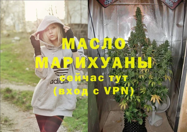 прущие грибы Лабытнанги