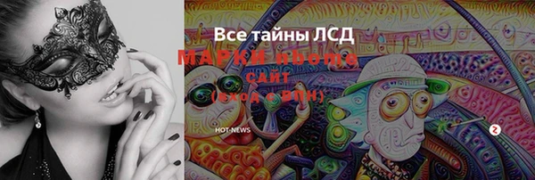 прущие грибы Лабытнанги