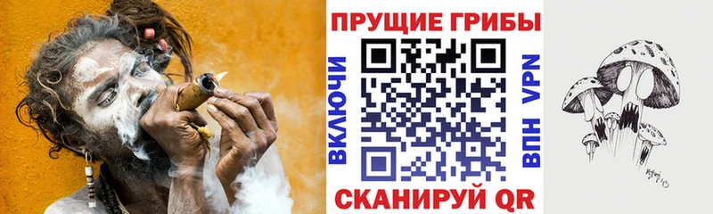 Купить где  Урюпинск  Псилоцибиновые грибы MAGIC MUSHROOMS 